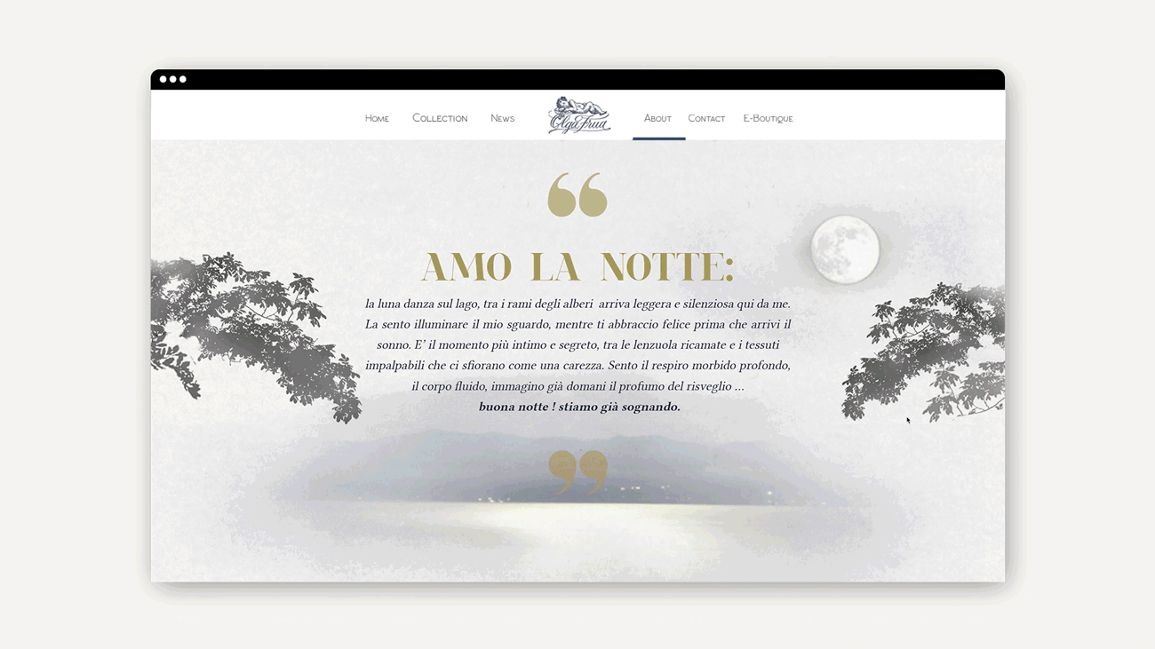 olga frua website design drogheria studio animation