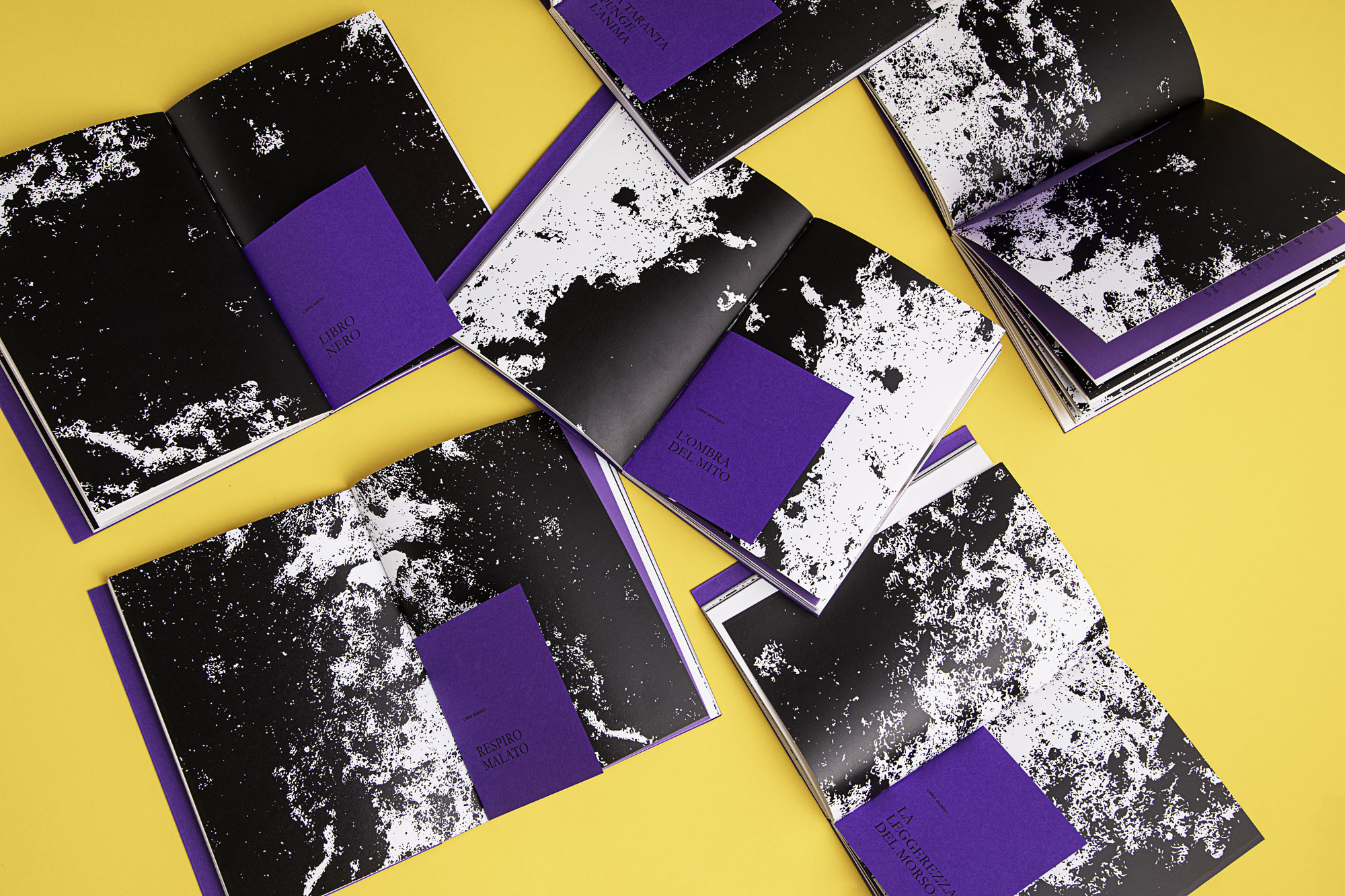 3_margherita_cavallo_editorial_design_graphic_book