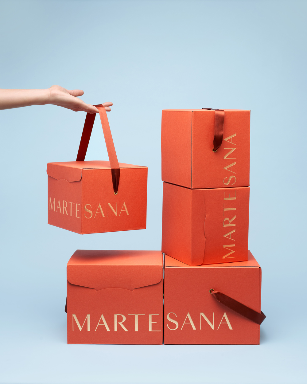 8_natale_xmas_packaging_martesana_drogheria_studio_panettone